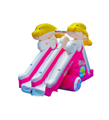 Dolphin Double Lane Inflatable Slide dla dzieci Park rozrywki